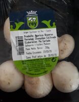 Champiñón Cultivado