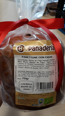 Panettone con pasas