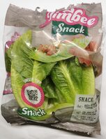 Snack Salat