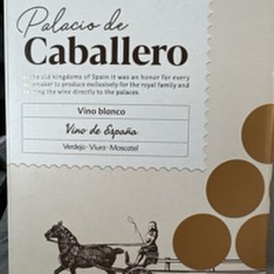 Palacio de Caballeeo