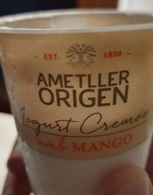 Iogurt cremos amb mango