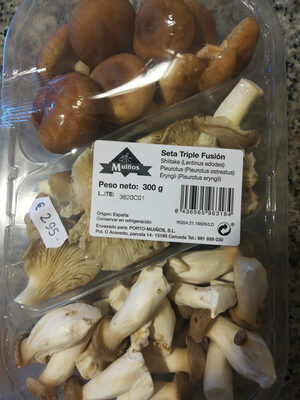 seta triple fusión