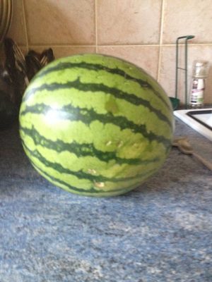 Pastèque sans pépins