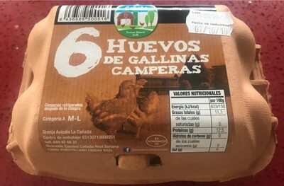 Huevos de gallinas camperas