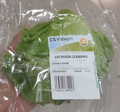 Lechuga iceberg