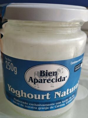 Yoghourt Natural