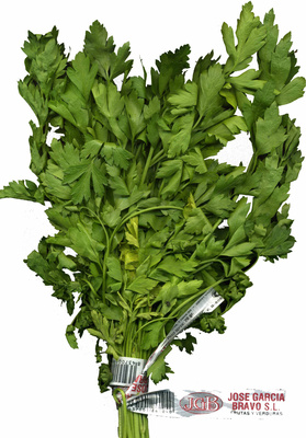 Perejil fresco front packaging