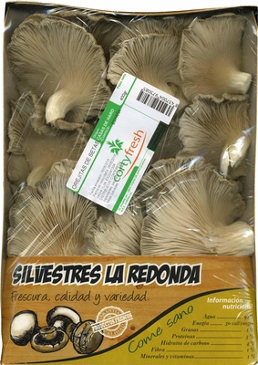 Setas de ostra front packaging