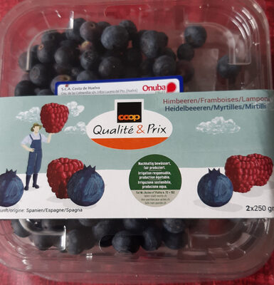 Framboises Myrtilles