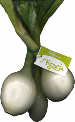 Cebolletas tiernas blancas