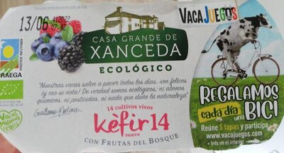 Yogurt ecológico Kefir 14 con frutas del bosque front packaging