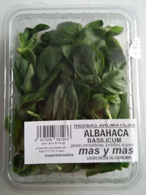 Albahaca