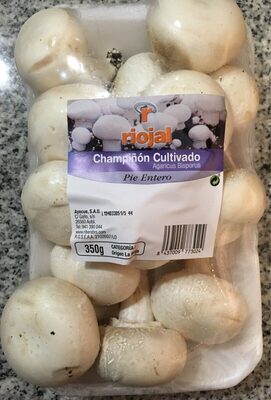 Champiñón cultivado Pie Entero