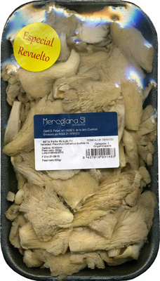 Setas de ostra para revuelto