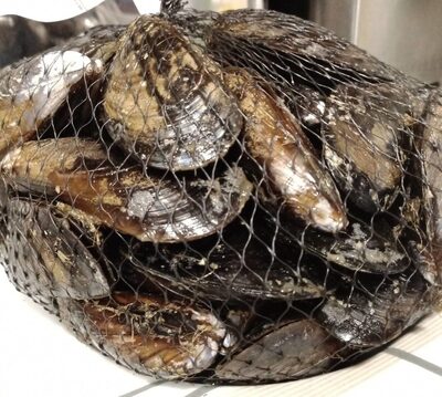 Mejillones