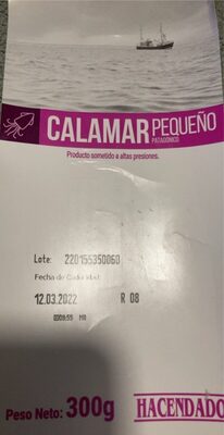 Calamar pequeño patagonico
