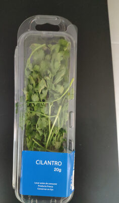 Cilantro