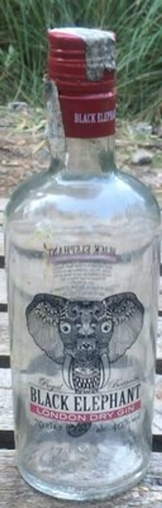 Black Elephant