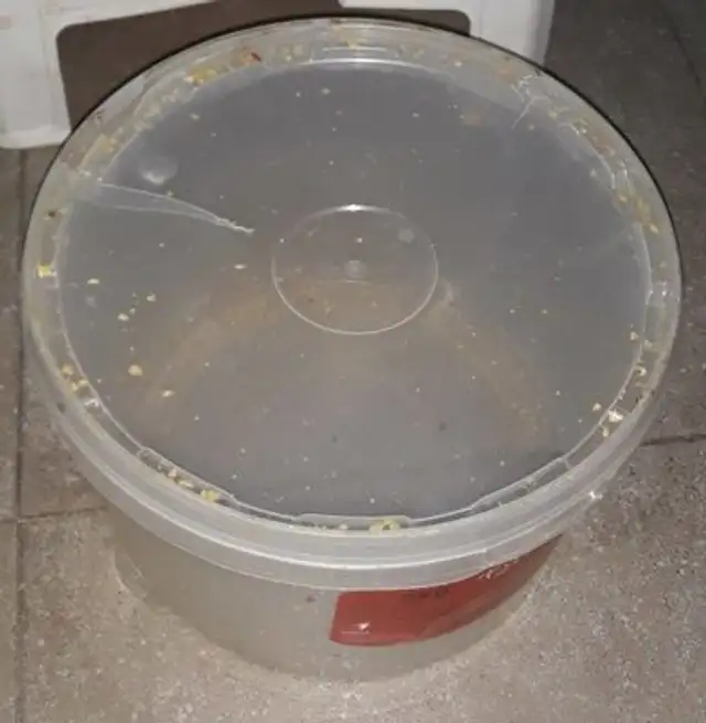 Kikos