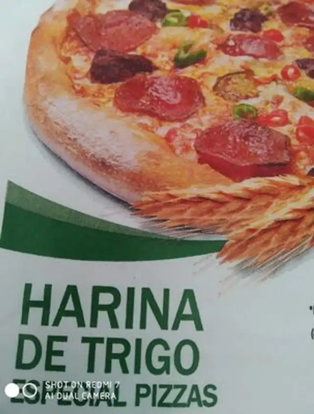 Harina de trigo especial pizzas