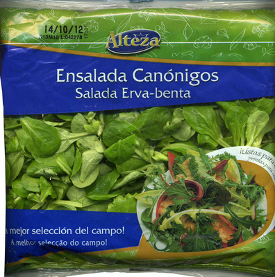 Canónigos