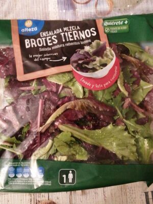 Ensalada mezcla brotes tiernos