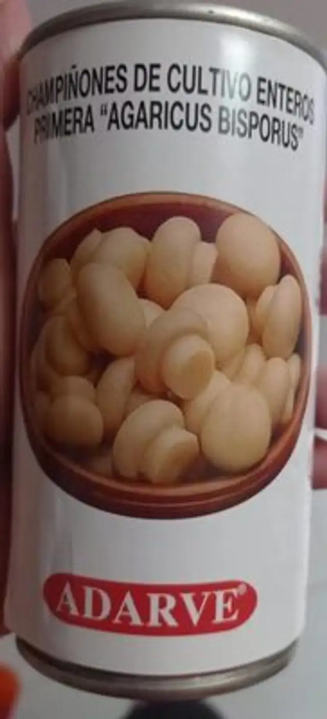 Champiñones