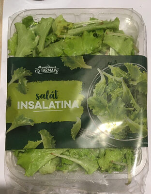Salát Insalatina