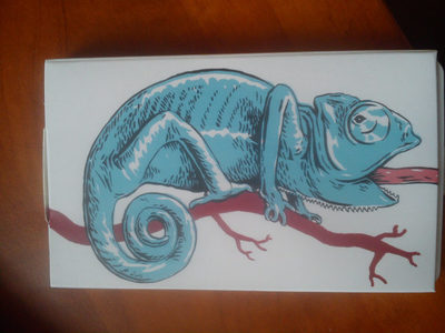 Žvíkačky bez cukru s jemnou příchutí máty front packaging