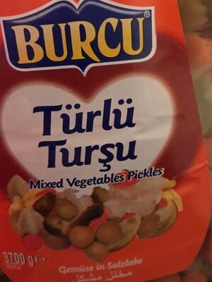 Turlu tursu