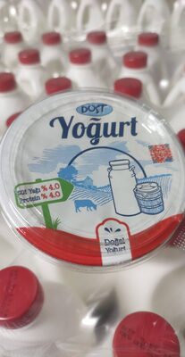 Dost yoğurt