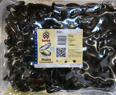 Moules fraîches de Hollande Extra
