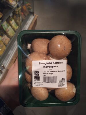 Kastanjechampignons