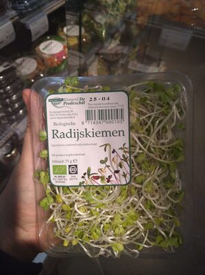 Radijskiemen