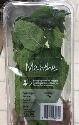 Menthe Fraiche