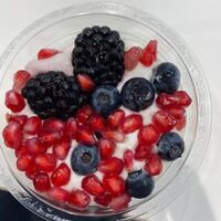 Yaourt léger fruits des bois mix