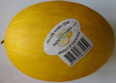 Honigmelone