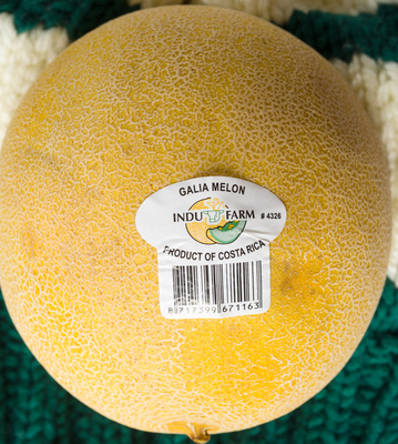 Galia Melon
