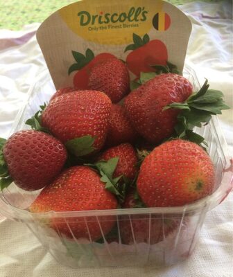 Fraises 500g front packaging
