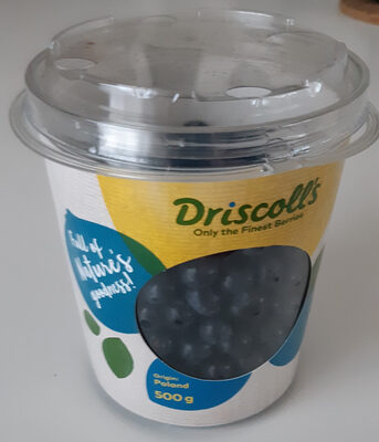 Myrtilles cultivées