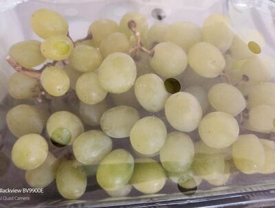 Raisin blanc sans pépin