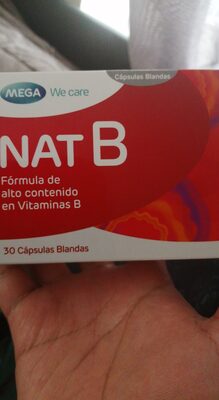 NAT B