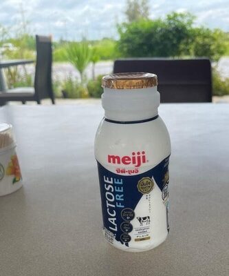 Lactose free plain milk