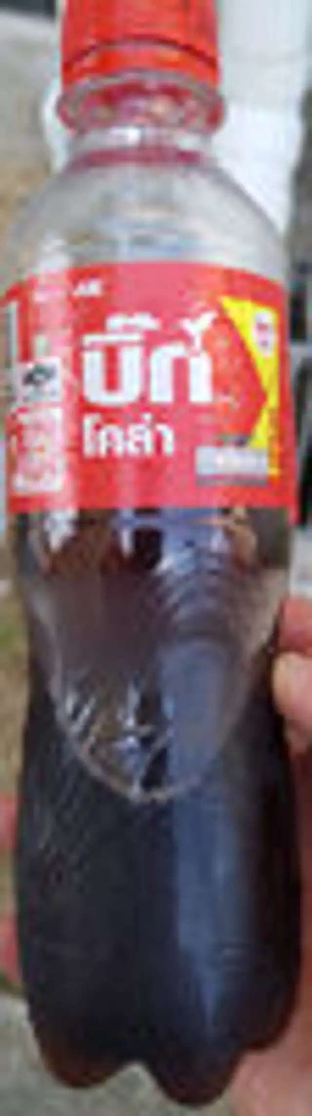 บิ๊กโคล่า