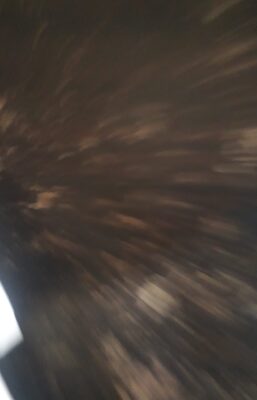 Tepung Terigu Gatotkaca