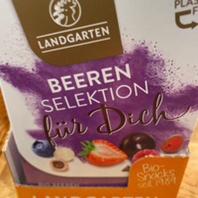 Beeren Selektion in dreierlei Schokoladen