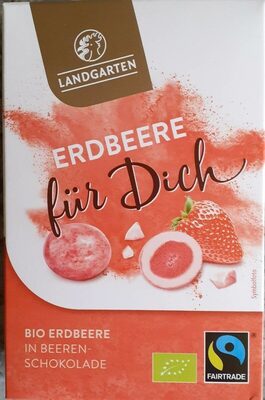 Bio Erdberren in Beerenschokolade
