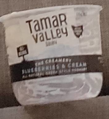Blueberries & Cream Greek Style Yoghurt front packaging