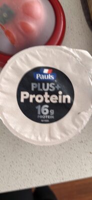 PLUS+ Protein Chocolate Dairy Snack