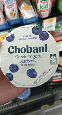Greek Yogurt Blueberry on the Bottom